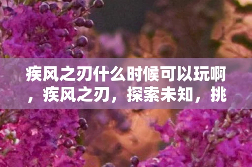 疾风之刃什么时候可以玩啊，疾风之刃，探索未知，挑战极限的冒险之旅