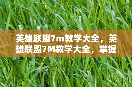 英雄联盟7m教学大全，英雄联盟7M教学大全，掌握高效移动与操作的秘密