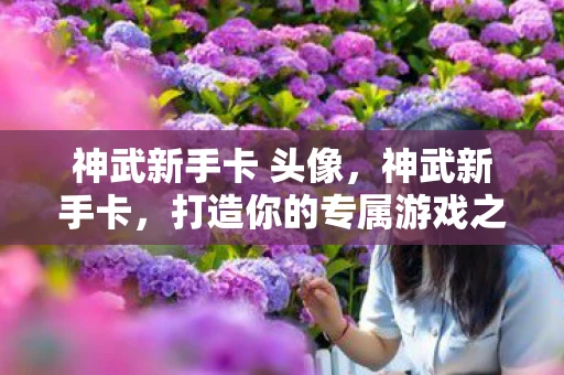 神武新手卡 头像,神武新手卡,打造你的专属游戏之旅 神武新手卡 头像,神武新手卡,打造你的专属游戏之旅