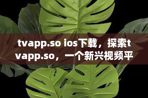 tvapp.so ios下载，探索tvapp.so，一个新兴视频平台的崛起与挑战