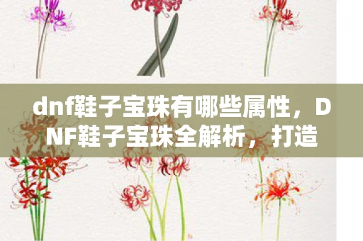 dnf鞋子宝珠有哪些属性，DNF鞋子宝珠全解析，打造最强鞋子的必备指南