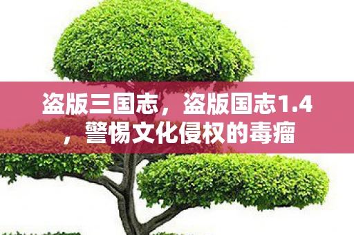 盗版三国志,盗版国志1.4,警惕文化侵权的毒瘤 盗版三国志,盗版国志1.4,警惕文化侵权的毒瘤