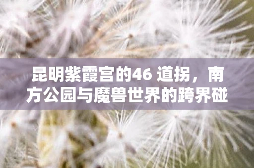 昆明紫霞宫的46 道拐，南方公园与魔兽世界的跨界碰撞