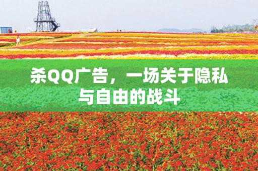 杀QQ广告,一场关于隐私与自由的战斗 杀QQ广告,一场关于隐私与自由的战斗