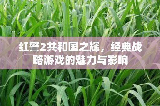 经典战略游戏的魅力与影响图片
