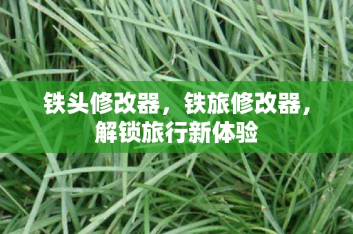 铁头修改器,铁旅修改器,解锁旅行新体验 铁头修改器,铁旅修改器,解锁旅行新体验