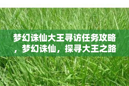 梦幻诛仙大王寻访任务攻略,梦幻诛仙,探寻大王之路 梦幻诛仙大王寻访任务攻略,梦幻诛仙,探寻大王之路