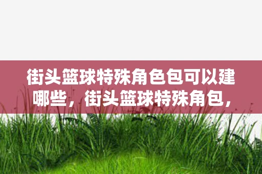 街头篮球特殊角色包可以建哪些，街头篮球特殊角包，解锁你的街头篮球新技能