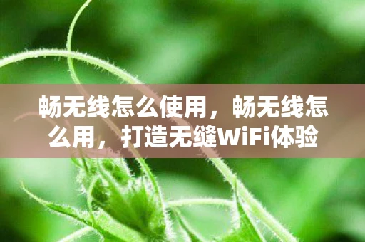 畅无线怎么使用，畅无线怎么用，打造无缝WiFi体验