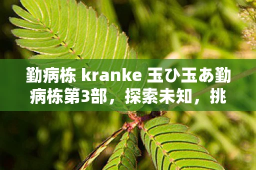 勤病栋 kranke 玉ひ玉あ勤病栋第3部，探索未知，挑战自我