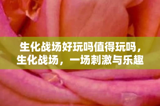 生化战场好玩吗值得玩吗，生化战场，一场刺激与乐趣并存的冒险