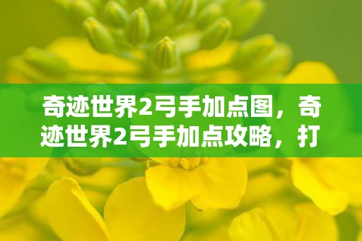 奇迹世界2弓手加点图，奇迹世界2弓手加点攻略，打造最强输出角色