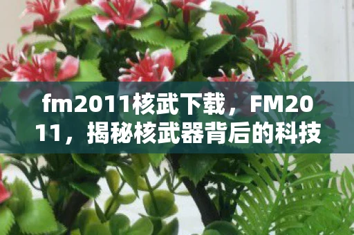 fm2011核武下载，FM2011，揭秘核武器背后的科技力量