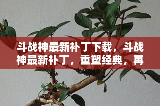 斗战神最新补丁下载，斗战神最新补丁，重塑经典，再续传奇