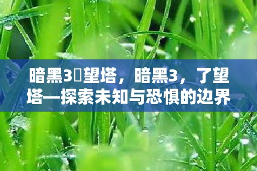 暗黑3瞭望塔,暗黑3,了望塔—探索未知与恐惧的边界 暗黑3瞭望塔,暗黑3,了望塔—探索未知与恐惧的边界
