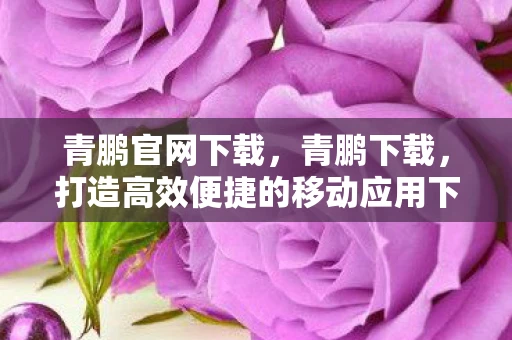 青鹏官网下载，青鹏下载，打造高效便捷的移动应用下载体验