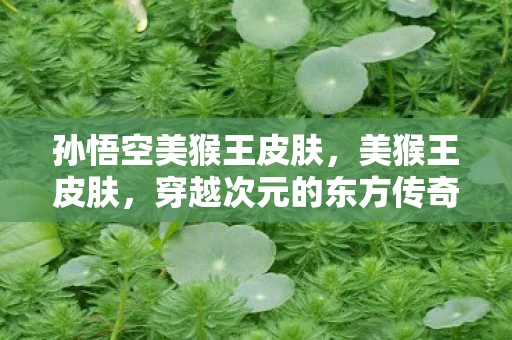 孙悟空美猴王皮肤，美猴王皮肤，穿越次元的东方传奇