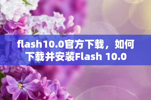flash10.0官方下载，如何下载并安装Flash 10.0