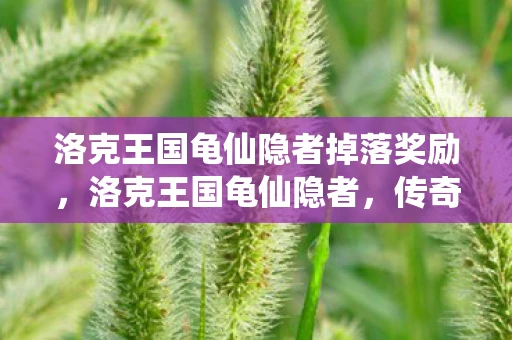 洛克王国龟仙隐者掉落奖励，洛克王国龟仙隐者，传奇与智慧的化身