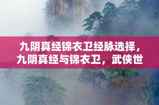九阴真经锦衣卫经脉选择,九阴真经与锦衣卫,武侠世界中的经脉奥秘 九阴真经锦衣卫经脉选择,九阴真经与锦衣卫,武侠世界中的经脉奥秘