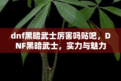 dnf黑暗武士厉害吗贴吧，DNF黑暗武士，实力与魅力并存的职业解析