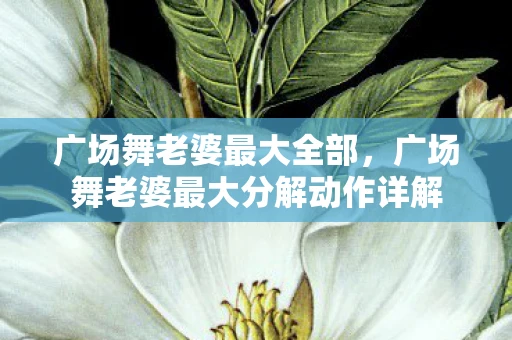 广场舞老婆最大全部，广场舞老婆最大分解动作详解