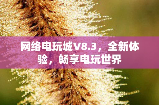 网络电玩城V8图片