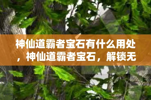 神仙道霸者宝石有什么用处，神仙道霸者宝石，解锁无限可能的神秘宝石