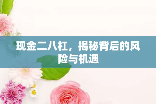 现金二八杠，揭秘背后的风险与机遇