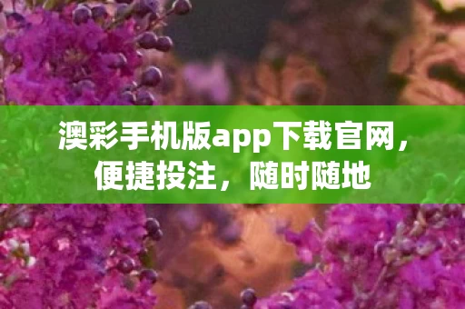 澳彩手机版app下载官网图片