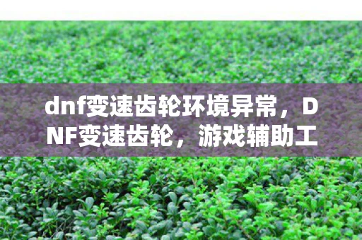 dnf变速齿轮环境异常,DNF变速齿轮,游戏辅助工具还是作弊神器? dnf变速齿轮环境异常,DNF变速齿轮,游戏辅助工具还是作弊神器?