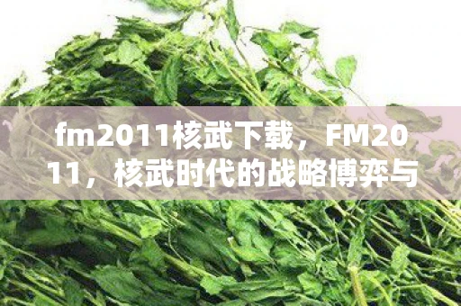 fm2011核武下载,FM2011,核武时代的战略博弈与和平愿景 fm2011核武下载,FM2011,核武时代的战略博弈与和平愿景