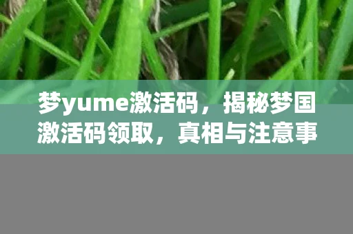 梦yume激活码，揭秘梦国激活码领取，真相与注意事项