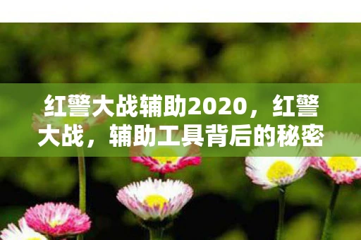 红警大战辅助2020,红警大战,辅助工具背后的秘密与争议 红警大战辅助2020,红警大战,辅助工具背后的秘密与争议