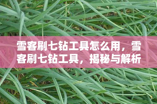 雪客刷七钻工具怎么用，雪客刷七钻工具，揭秘与解析