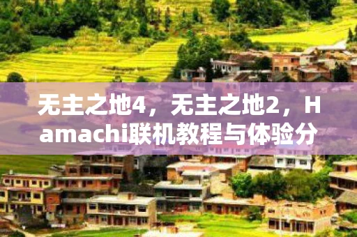 无主之地4，无主之地2，Hamachi联机教程与体验分享