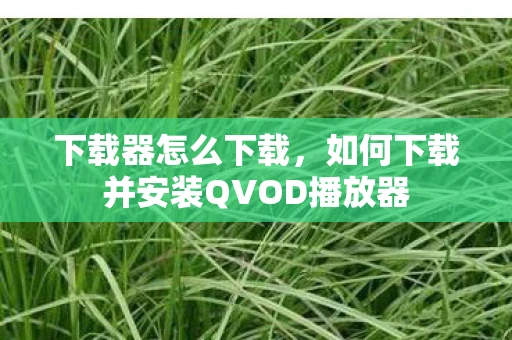 下载器怎么下载，如何下载并安装QVOD播放器