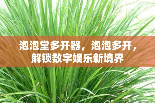 泡泡堂多开器，泡泡多开，解锁数字娱乐新境界