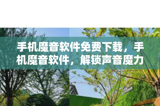 手机魔音软件免费下载，手机魔音软件，解锁声音魔力的神秘钥匙