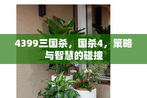 4399三国杀，国杀4，策略与智慧的碰撞