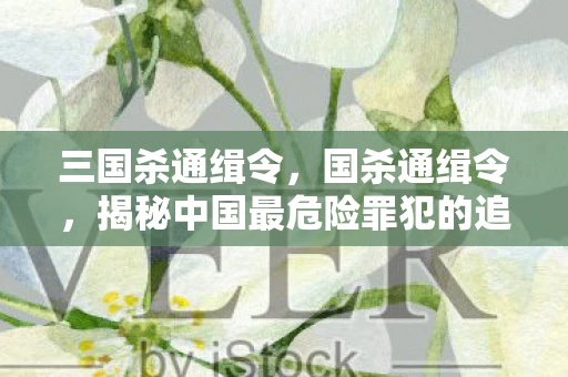 三国杀通缉令，国杀通缉令，揭秘中国最危险罪犯的追捕行动