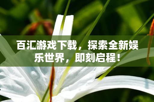 探索全新娱乐世界图片
