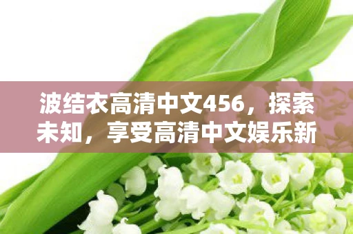 波结衣高清中文456,探索未知,享受高清中文娱乐新体验 波结衣高清中文456,探索未知,享受高清中文娱乐新体验