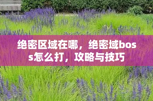 绝密区域在哪,绝密域boss怎么打,攻略与技巧 绝密区域在哪,绝密域boss怎么打,攻略与技巧
