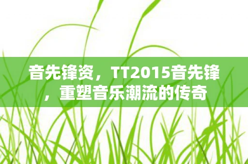 音先锋资,TT2015音先锋,重塑音乐潮流的传奇 音先锋资,TT2015音先锋,重塑音乐潮流的传奇