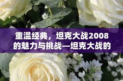 坦克大战2008的魅力与挑战图片