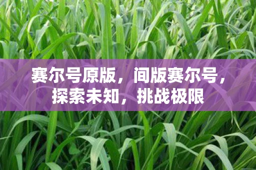 赛尔号原版,间版赛尔号,探索未知,挑战极限 赛尔号原版,间版赛尔号,探索未知,挑战极限