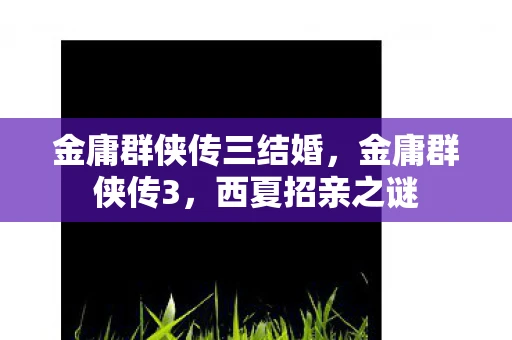 金庸群侠传三结婚，金庸群侠传3，西夏招亲之谜