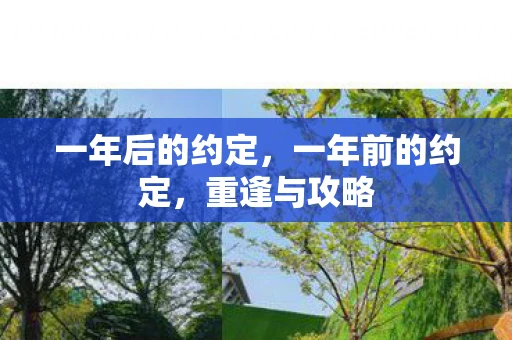 一年后的约定，一年前的约定，重逢与攻略
