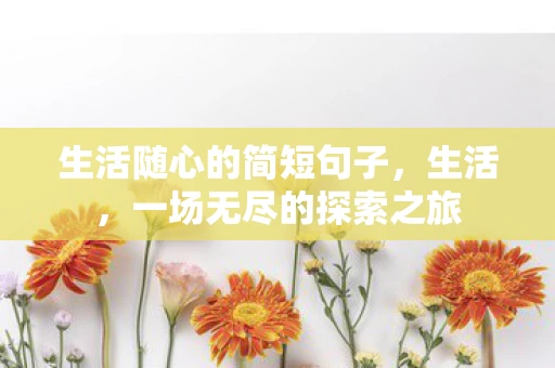 生活随心的简短句子，生活，一场无尽的探索之旅